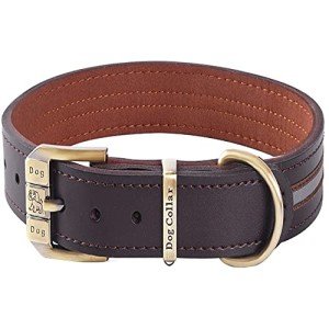Adjustable Reflective Leather Dog Collar - Brown