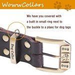 Adjustable Reflective Leather Dog Collar - Brown