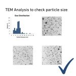 Antibacterial Ear Drops for Dogs with Colloidal Silver