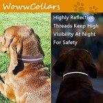 Adjustable Reflective Leather Dog Collar - Brown
