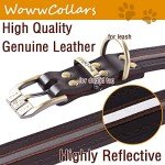 Adjustable Reflective Leather Dog Collar - Brown