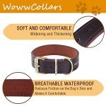 Adjustable Reflective Leather Dog Collar - Brown