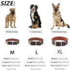 Adjustable Reflective Leather Dog Collar - Brown