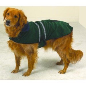 Hunter Green Reflective Stripe Dog Jacket - XSM