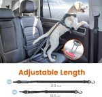 Adjustable Dog Seatbelt with Carabiner and Harness