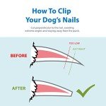 Flexzion Nail Clipper for Dogs and Cats