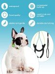 Adjustable Pet Grooming Leash and Loop Set