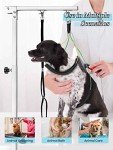Adjustable Pet Grooming Leash and Loop Set