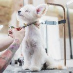 Adjustable Dog Grooming Arm Restraint Accessory