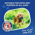 Tug-E-Nuff Clam: Interactive Dog Treat Toy