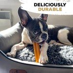 Nylon Dog Chew Toy for Small Aggressive Chewers