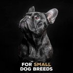 Nylon Dog Chew Toy for Small Aggressive Chewers