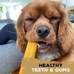 Nylon Dog Chew Toy for Small Aggressive Chewers