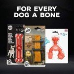 Nylon Dog Chew Toy for Small Aggressive Chewers