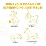 Vetzyme Joint Supplements for Dogs - 30 Tablets