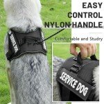 Belababy No Pull Adjustable Dog Harness - X Small