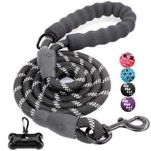 Reflective 5FT Dog Lead with Padded Handle