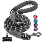Reflective 5FT Dog Lead with Padded Handle