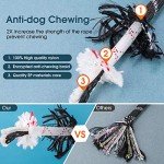 Reflective 5FT Dog Lead with Padded Handle