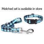 Suredoo Adjustable Soft Nylon Dog Collar - Blue Plaid