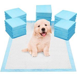 Super Absorbent Puppy Training Pads - 50 Pack
