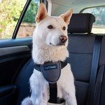 CarSafe Dog Travel Harness - Safe & Secure