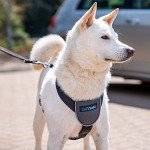 CarSafe Dog Travel Harness - Safe & Secure