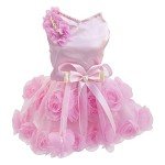 Luxury Pink Tutu Dress for Small Dogs