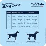 CarSafe Dog Travel Harness - Safe & Secure