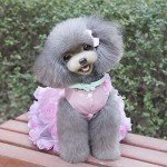 Luxury Pink Tutu Dress for Small Dogs