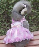Luxury Pink Tutu Dress for Small Dogs