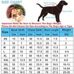 Cozy Dog Hoodie for Small Breeds - Gray