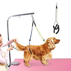 Adjustable Pet Grooming Leash for Small Dogs