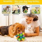 Interactive Snuffle Ball Toy for Dogs