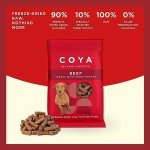 COYA Freeze-Dried Raw Dog Treats - Beef 12x40g