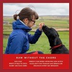 COYA Freeze-Dried Raw Dog Treats - Beef 12x40g