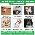 Probiotic Chews for Dogs - Digestive Health Boost