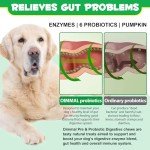 Probiotic Chews for Dogs - Digestive Health Boost