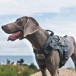 Adjustable Tactical Dog Harness with Handle - Small