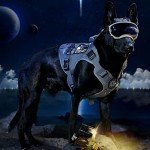 Adjustable Tactical Dog Harness with Handle - Small