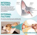 Pularrris Ear Cleaner for Dogs and Cats