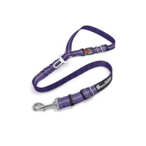 Adjustable Dog Car Seat Belt with Bungee Buffer