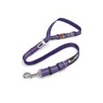 Adjustable Dog Car Seat Belt with Bungee Buffer