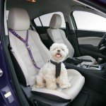 Adjustable Dog Car Seat Belt with Bungee Buffer