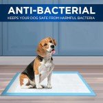 100 Leakproof Dog Training Pads - Quick-Dry 60x60 cm