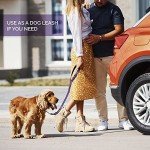 Adjustable Dog Car Seat Belt with Bungee Buffer