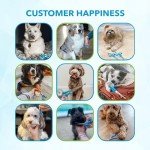 Boshel Dog Grooming Scissors Set - 2 Pieces