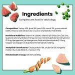 Turkey & Duck Complete Wet Dog Food Bundle