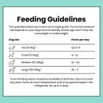 Turkey & Duck Complete Wet Dog Food Bundle