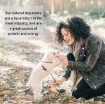 Tripe Filled Bones - 10 Natural Dog Chews